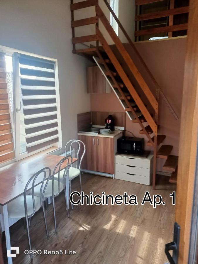 클루지나포카 Casa Lucaciu 빌라 외부 사진